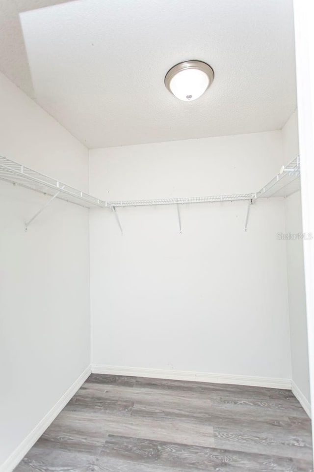 10386 Norvell Rd, Spring Hill, FL 34608 - spacious closet with wood finished floors