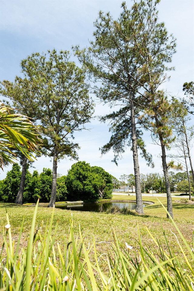 2542 Sandy Hill Ct, Holiday, FL 34691 - photo 23