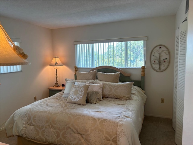 1243 S Martin Luther King Jr Ave Unit C505, Clearwater, FL 33756 - carpeted bedroom featuring a closet and baseboards