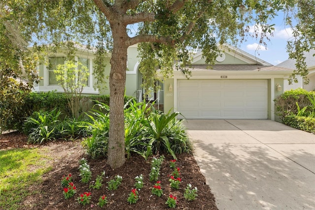 1010 Teal Pointe, Tarpon Springs, FL 34689 - view of front of home with concrete driveway, a garage, and stucco siding