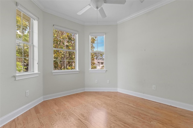 1010 Teal Pointe, Tarpon Springs, FL 34689 - empty room featuring wood finished floors, ceiling fan, and ornamental molding