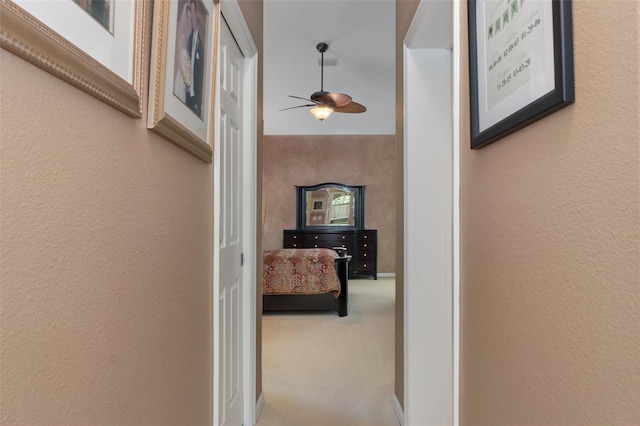690 E Jenkins Ct, Hernando, FL 34442 - hall with a textured wall and carpet