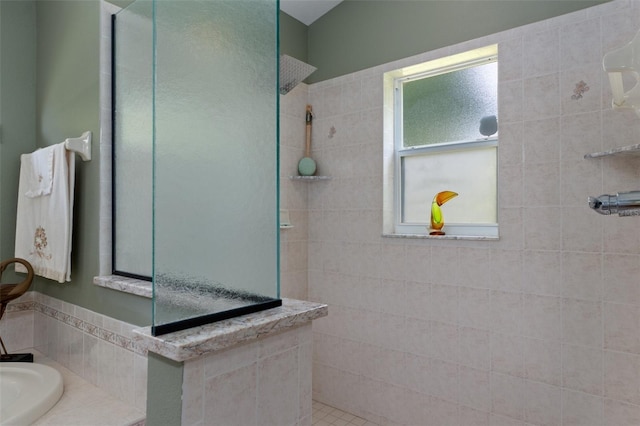690 E Jenkins Ct, Hernando, FL 34442 - full bathroom with walk in shower