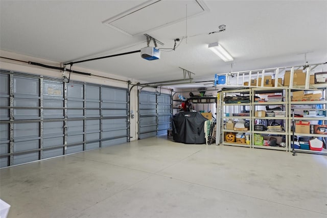 690 E Jenkins Ct, Hernando, FL 34442 - garage with a garage door opener