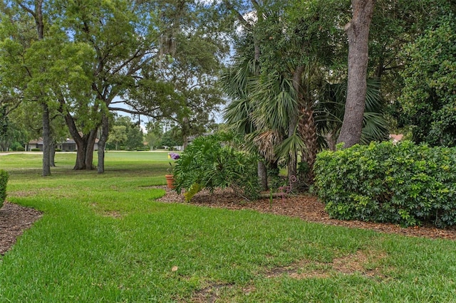 690 E Jenkins Ct, Hernando, FL 34442 - view of green lawn