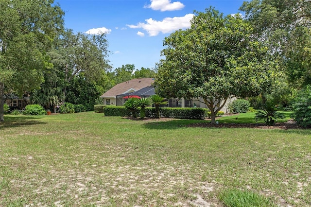 690 E Jenkins Ct, Hernando, FL 34442 - view of green lawn