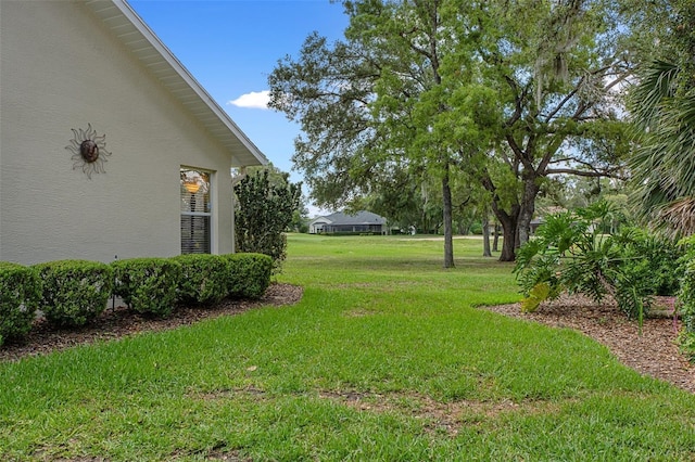 690 E Jenkins Ct, Hernando, FL 34442 - view of green lawn