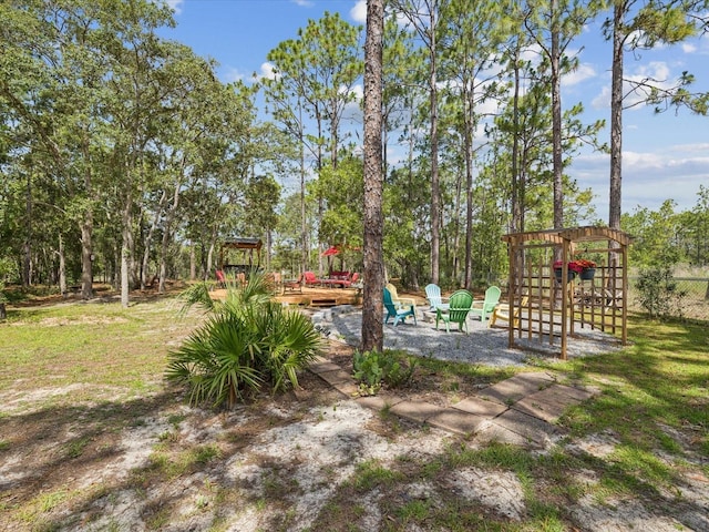 12229 Barnevelde Rd, Weeki Wachee, FL 34614 - view of yard