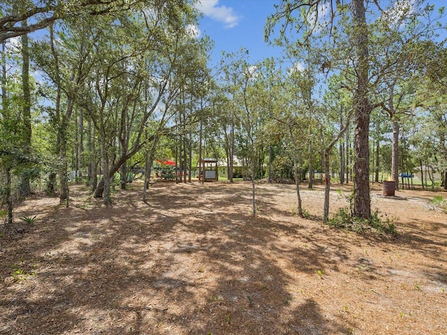 12229 Barnevelde Rd, Weeki Wachee, FL 34614 - view of yard