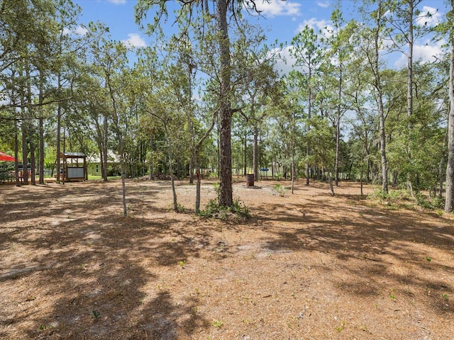 12229 Barnevelde Rd, Weeki Wachee, FL 34614 - view of yard