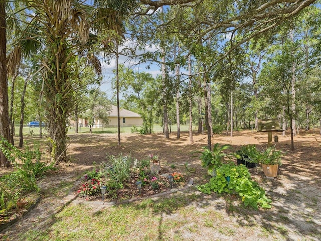 12229 Barnevelde Rd, Weeki Wachee, FL 34614 - view of yard