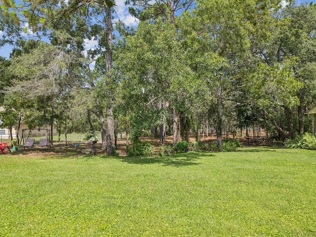 12229 Barnevelde Rd, Weeki Wachee, FL 34614 - view of grassy yard
