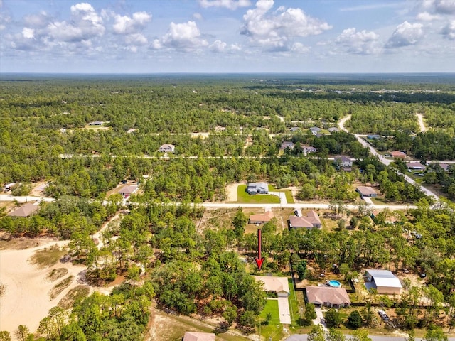 12229 Barnevelde Rd, Weeki Wachee, FL 34614 - aerial view of a heavily wooded area