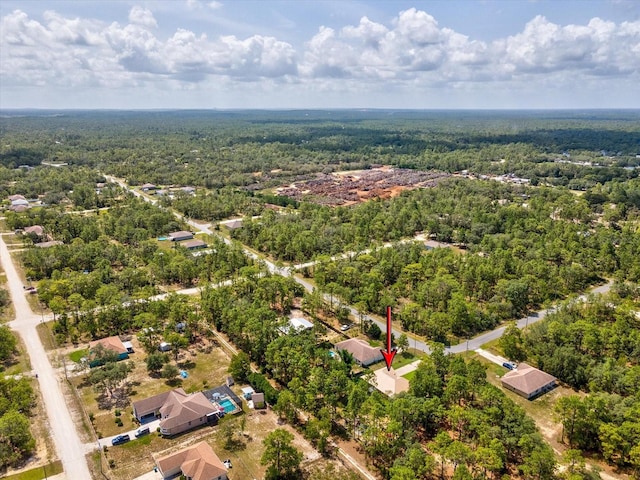 12229 Barnevelde Rd, Weeki Wachee, FL 34614 - drone / aerial view of a forest