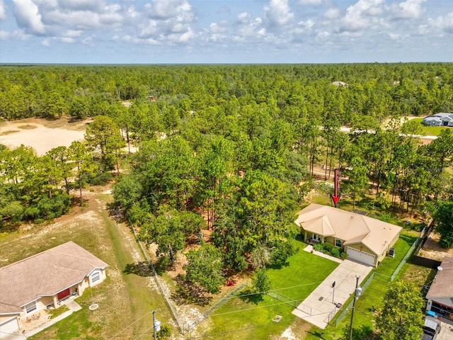 12229 Barnevelde Rd, Weeki Wachee, FL 34614 - drone / aerial view of a forest