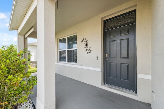 8938 Bower Bass Cir, Wesley Chapel, FL 33545 - photo 8