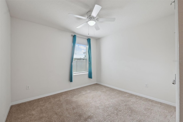 8938 Bower Bass Cir, Wesley Chapel, FL 33545 - photo 27