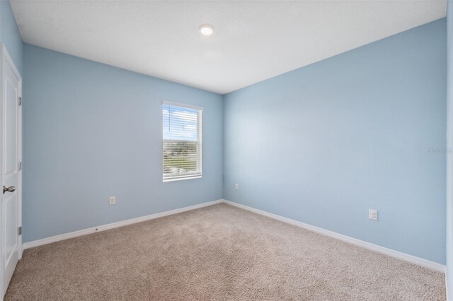 8938 Bower Bass Cir, Wesley Chapel, FL 33545 - photo 37