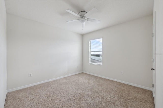 8938 Bower Bass Cir, Wesley Chapel, FL 33545 - photo 39