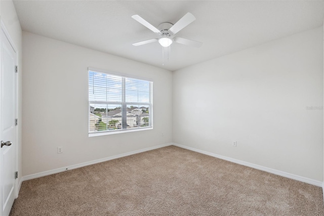 8938 Bower Bass Cir, Wesley Chapel, FL 33545 - photo 44