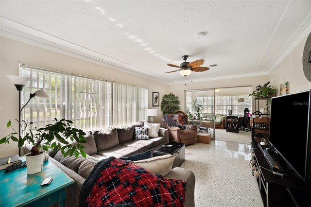 6795 23rd St S, Saint Petersburg, FL 33712 - photo 4
