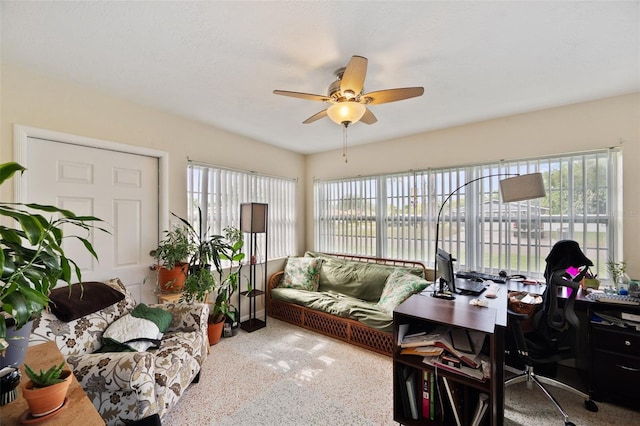 6795 23rd St S, Saint Petersburg, FL 33712 - photo 6