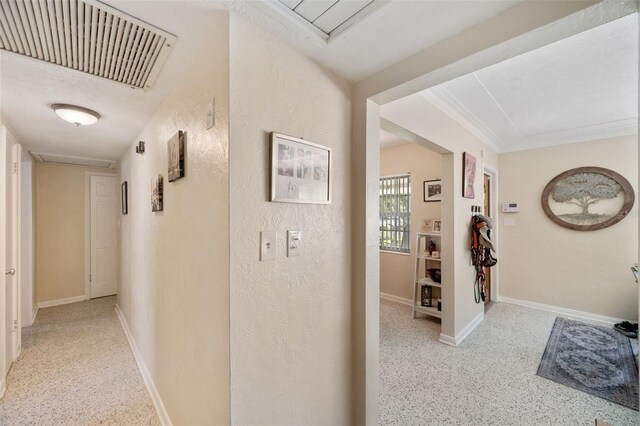 6795 23rd St S, Saint Petersburg, FL 33712 - photo 20
