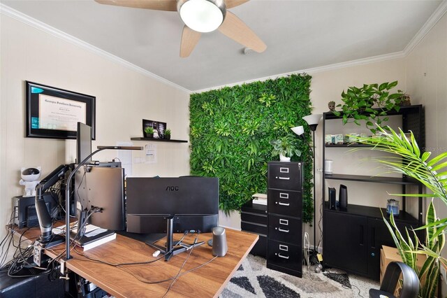 6795 23rd St S, Saint Petersburg, FL 33712 - photo 22