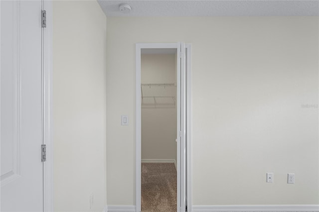 6240 Fairmont Ln, Palmetto, FL 34221 - photo 29