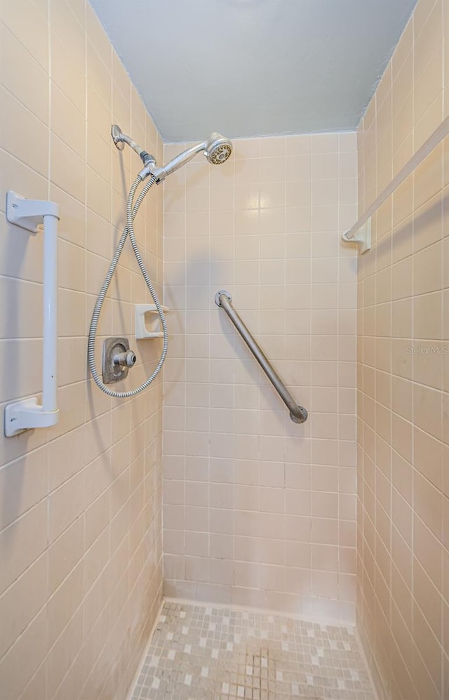 3841 Lanyard Ct Unit B, New Port Richey, FL 34652 - full bathroom featuring a tile shower