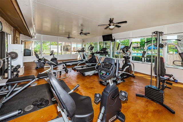3841 Lanyard Ct Unit B, New Port Richey, FL 34652 - gym featuring healthy amount of natural light and ceiling fan
