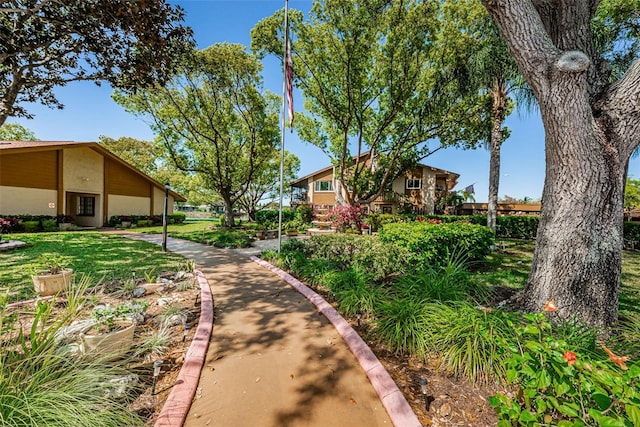 3841 Lanyard Ct Unit B, New Port Richey, FL 34652 - view of community featuring a lawn