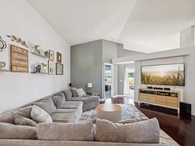 4716 Wolfram Ln, New Port Richey, FL 34653 - living room with wood finished floors, vaulted ceiling, and a textured ceiling