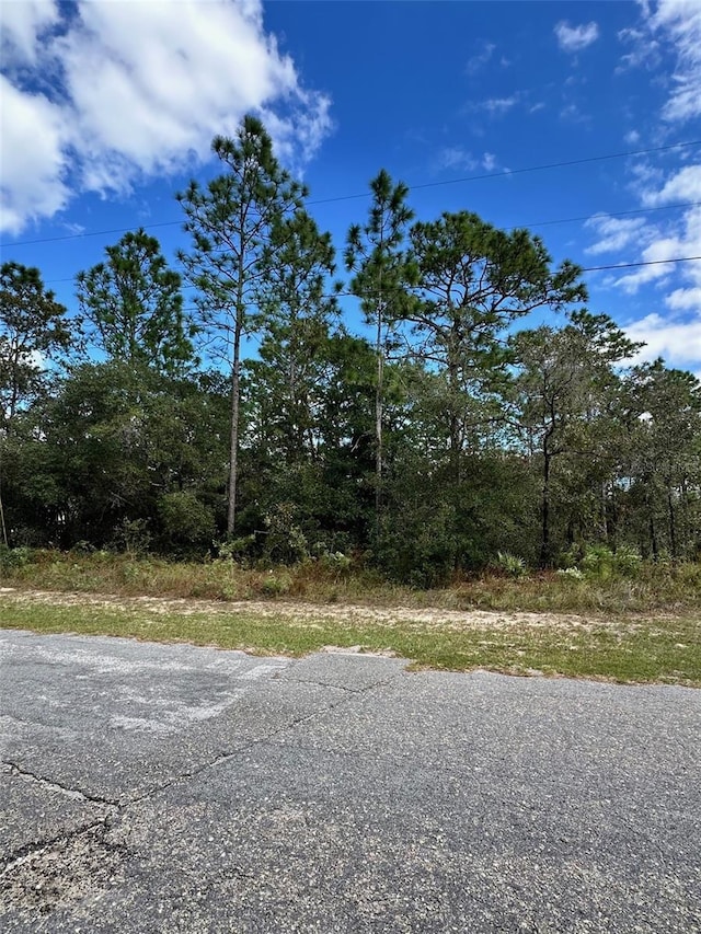 7181 N Regent Ter, Citrus Springs, FL 34433