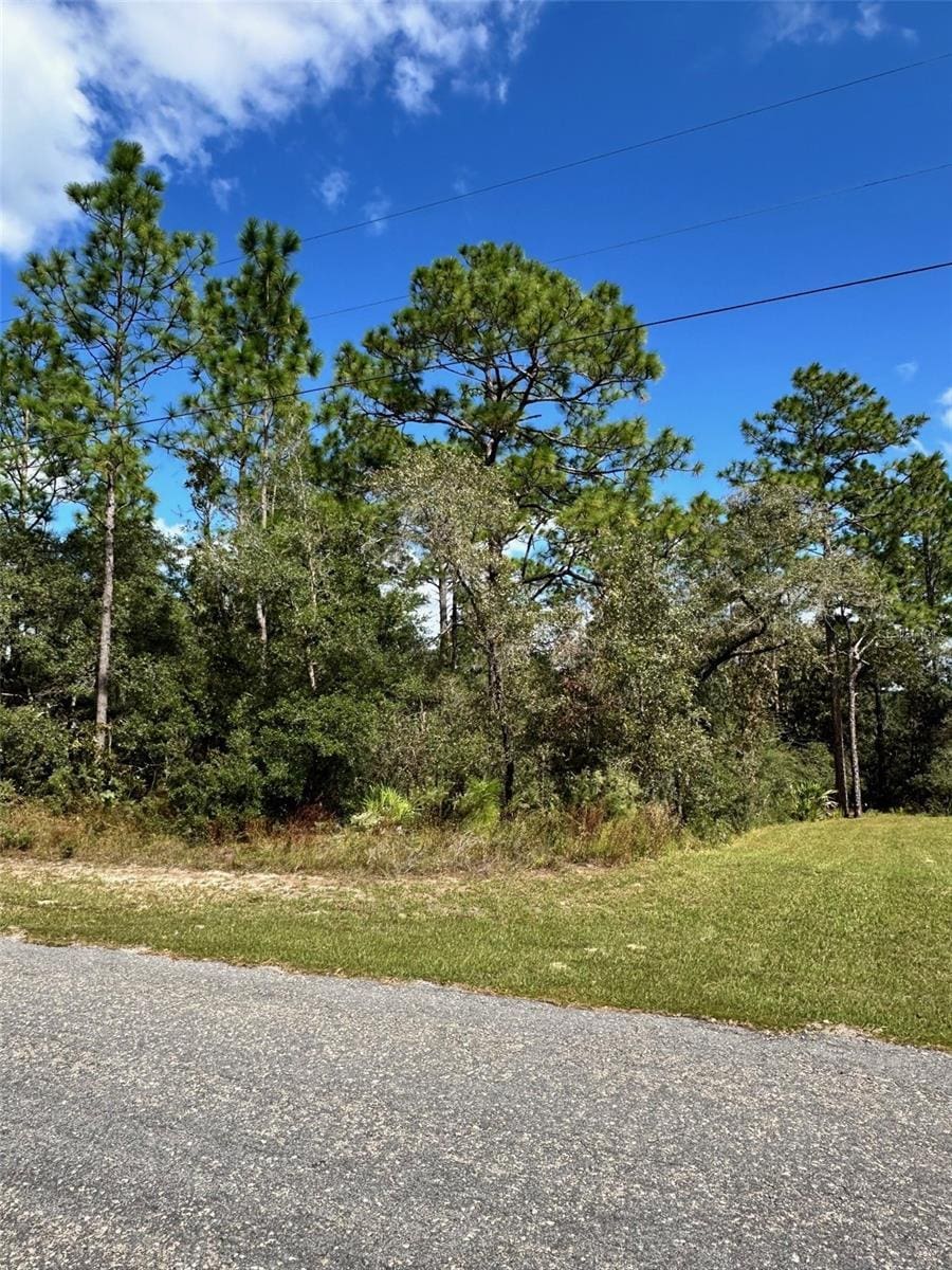 7181 N Regent Ter, Citrus Springs, FL 34433