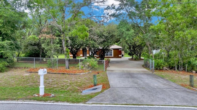 9130 Madrid Rd, Weeki Wachee, FL 34613 - view of property hidden behind natural elements featuring concrete driveway and view of scattered trees