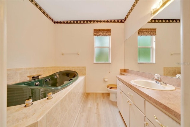 9130 Madrid Rd, Weeki Wachee, FL 34613 - full bath featuring vanity, a garden tub, and wood finished floors
