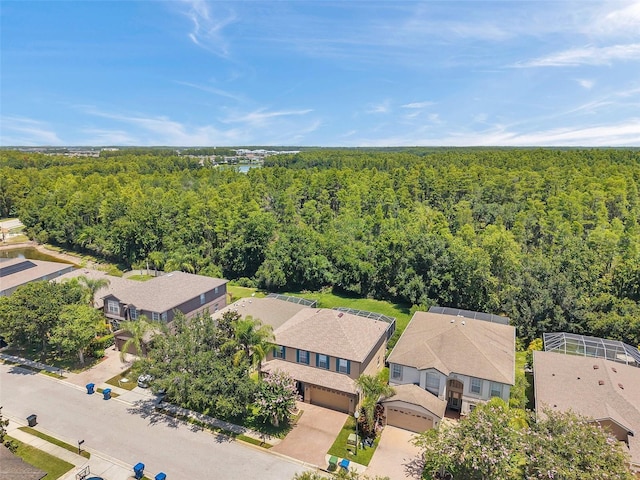 1410 Halapa Way, Trinity, FL 34655 - photo 59