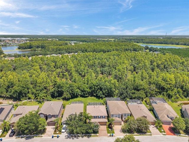 1410 Halapa Way, Trinity, FL 34655 - photo 62