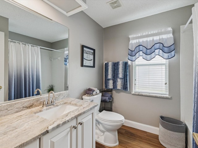11144 Brambleleaf Way, Hudson, FL 34667 - bathroom with wood finished floors, vanity, and a textured ceiling