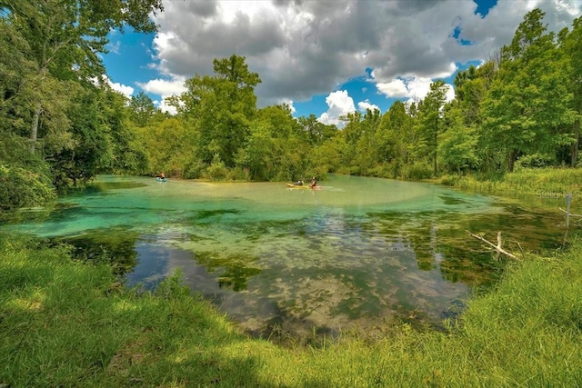 7275 Crystal Spring Run, Weeki Wachee, FL 34607 - water view with a heavily wooded area