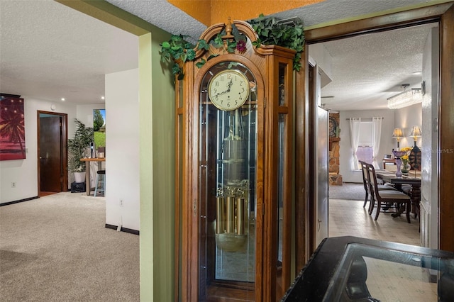 1376 Fayetteville Dr, Spring Hill, FL 34609 - hallway with a textured ceiling and carpet floors
