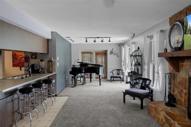 1376 Fayetteville Dr, Spring Hill, FL 34609 - living room featuring a textured ceiling, light carpet, and track lighting