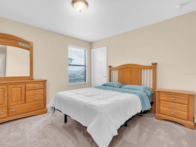 19326 Long Lake Ranch Blvd, Lutz, FL 33558 - view of carpeted bedroom