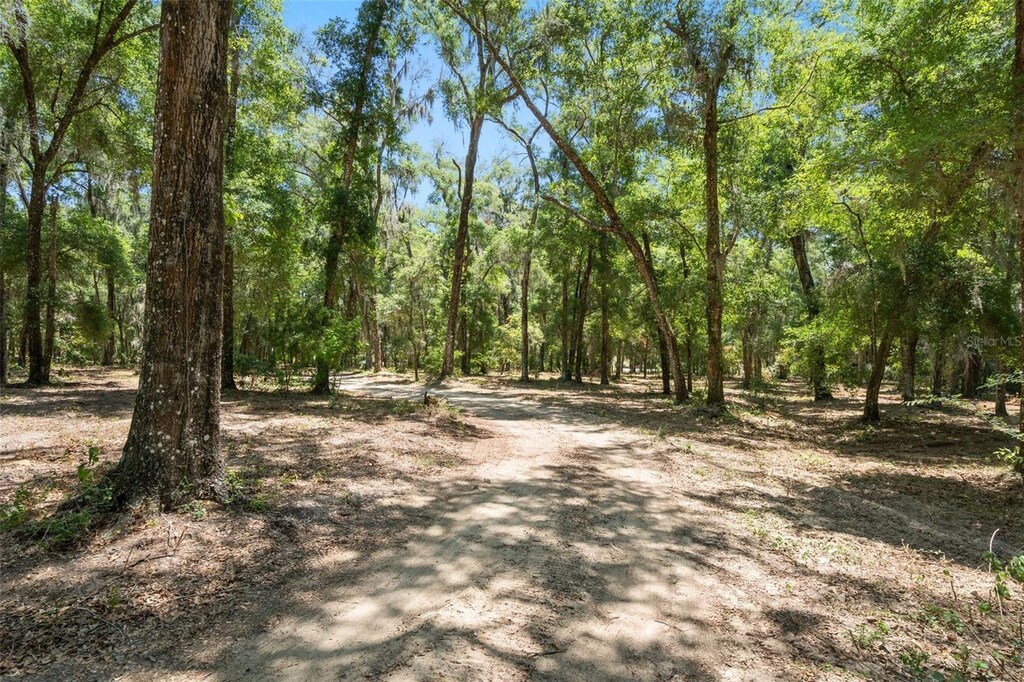 11426 S Pleasant Grove Rd, Floral City, FL 34436 - photo 2
