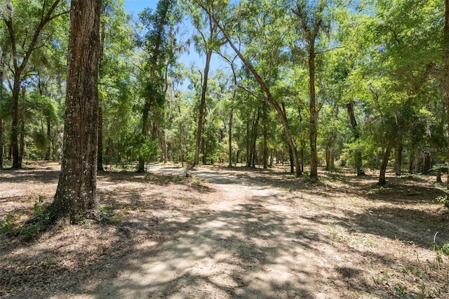 11426 S Pleasant Grove Rd, Floral City, FL 34436 - photo 2