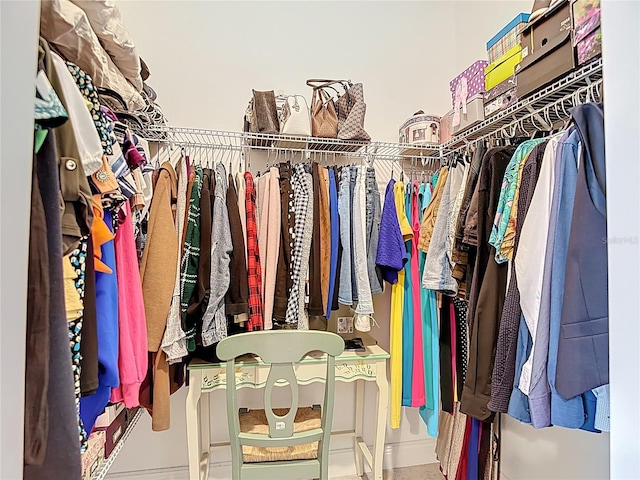 12323 House Finch, Weeki Wachee, FL 34614 - view of walk in closet