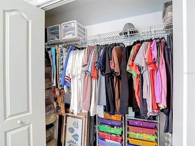 12323 House Finch, Weeki Wachee, FL 34614 - view of walk in closet