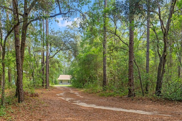 27295 Tarbel Rd, Brooksville, FL 34602 - photo 48