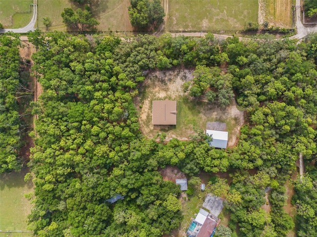 27295 Tarbel Rd, Brooksville, FL 34602 - photo 51
